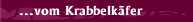 ...vom Krabbelkäfer 